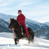 ski jøring with Icelandic horse in Valais
