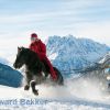 ski jøring with Icelandic horse in Switzerland
