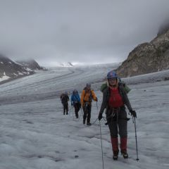 Guided glacier trek Swiss Alps Aletsch Eiger Valais