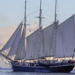 s/v Rembrandt van Rijn © Oceanwide