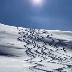 Tiefschnee skiën Glacier skiing