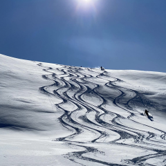 Glacier skiing