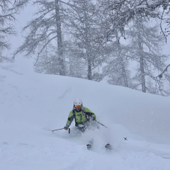 Sophie Aarts powder skiing