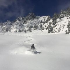 Backcountry powder skiing les marécottes Switzerland