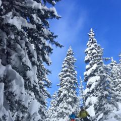 Freeride traningsweekend Januari 2016 les marécottes Off piste les Marécottes