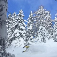 freeride paradise les Marécottes Vallée du Trient