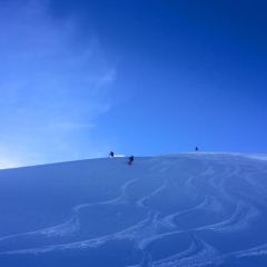 powder skiing mountanguide Alps
